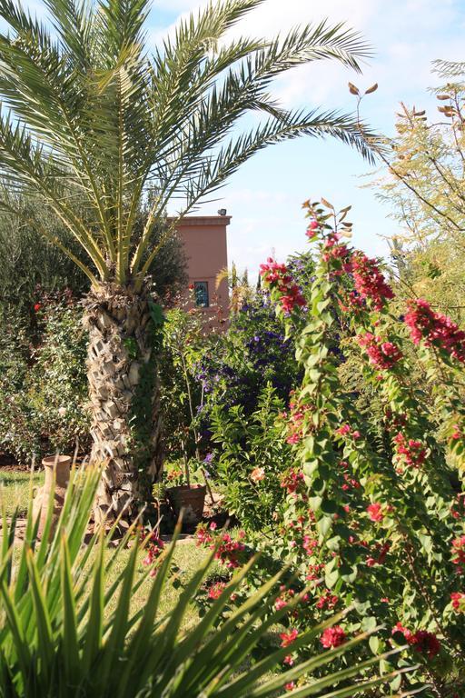 Terra Mia Marrakech Bed and Breakfast Ouled Jelal Buitenkant foto