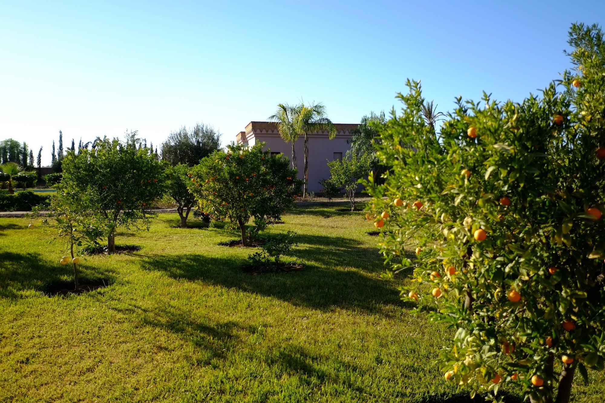 Terra Mia Marrakech Bed and Breakfast Ouled Jelal Buitenkant foto