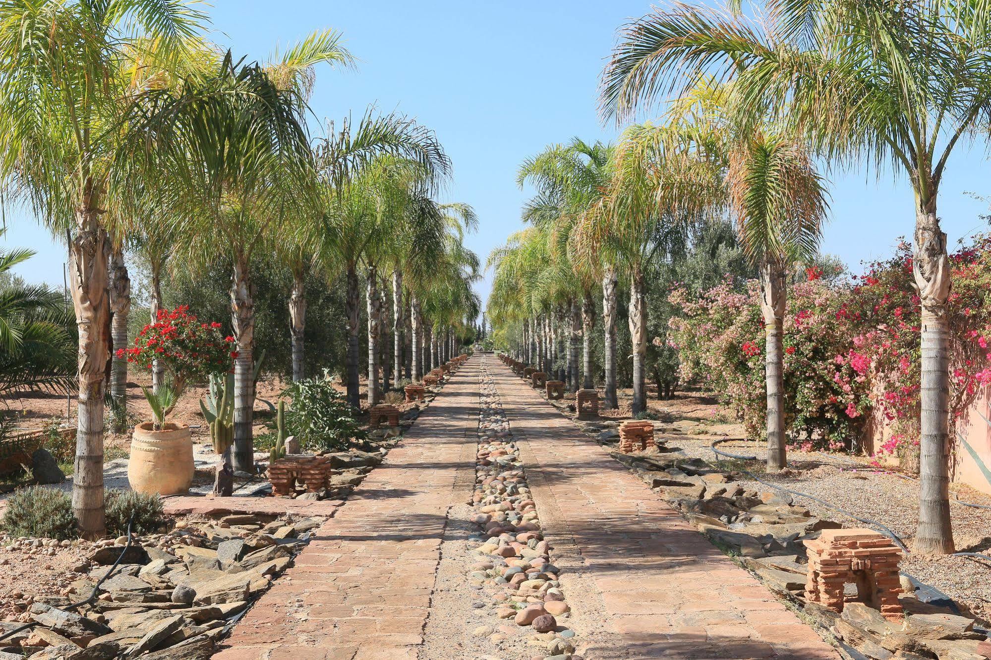 Terra Mia Marrakech Bed and Breakfast Ouled Jelal Buitenkant foto